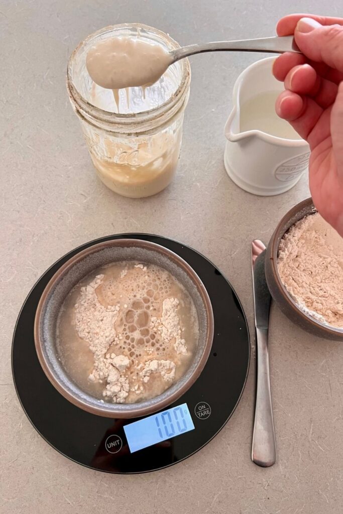 HOW TO FEED A SOURDOUGH STARTER