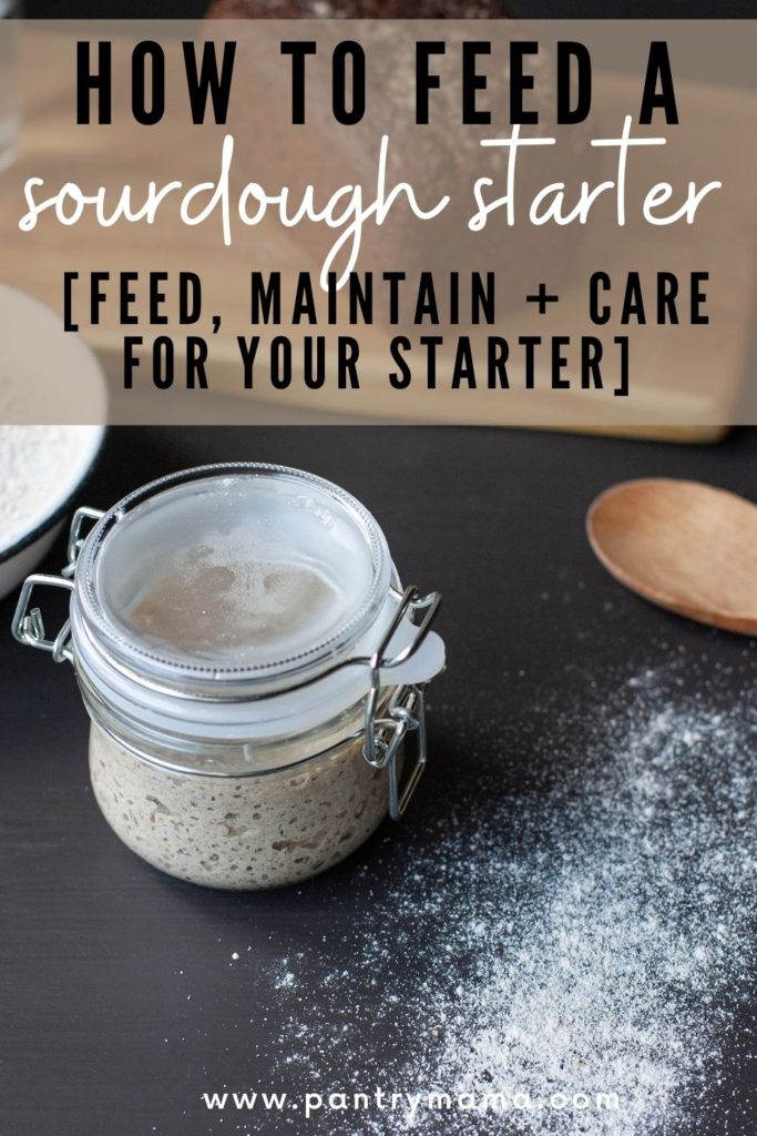 How to feed a sourdough starter