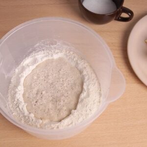 HOW TO MAKE A POOLISH PREFERMENT