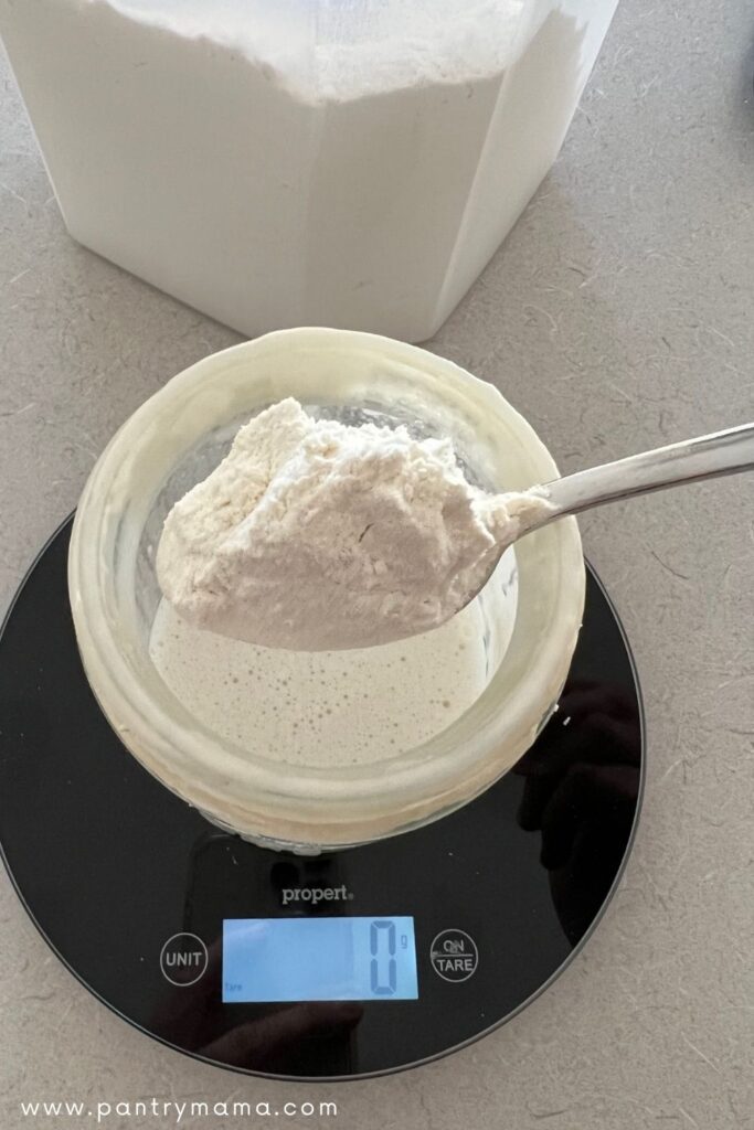 A round black kitchen scale has a jar sitting on top. There is sourdough starter inside the jar and a spoon containing flour that is getting spooned into the jar of sourdough starter yeast.