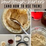 10 Different Sourdough Starters and How To Use Them