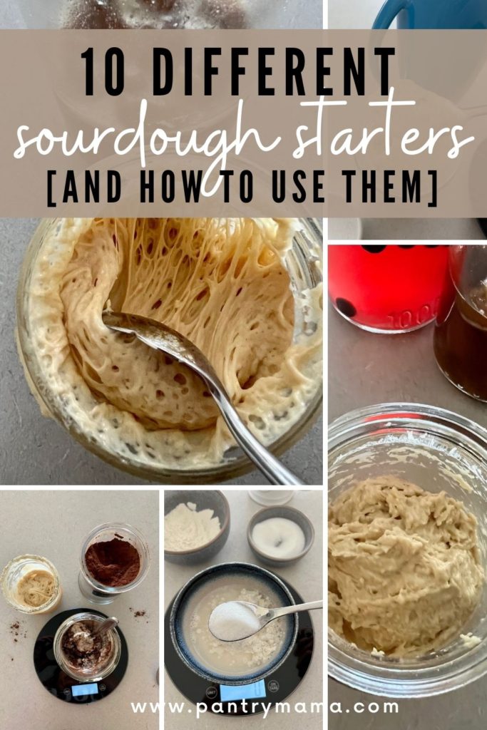 10 Different Sourdough Starters and How To Use Them