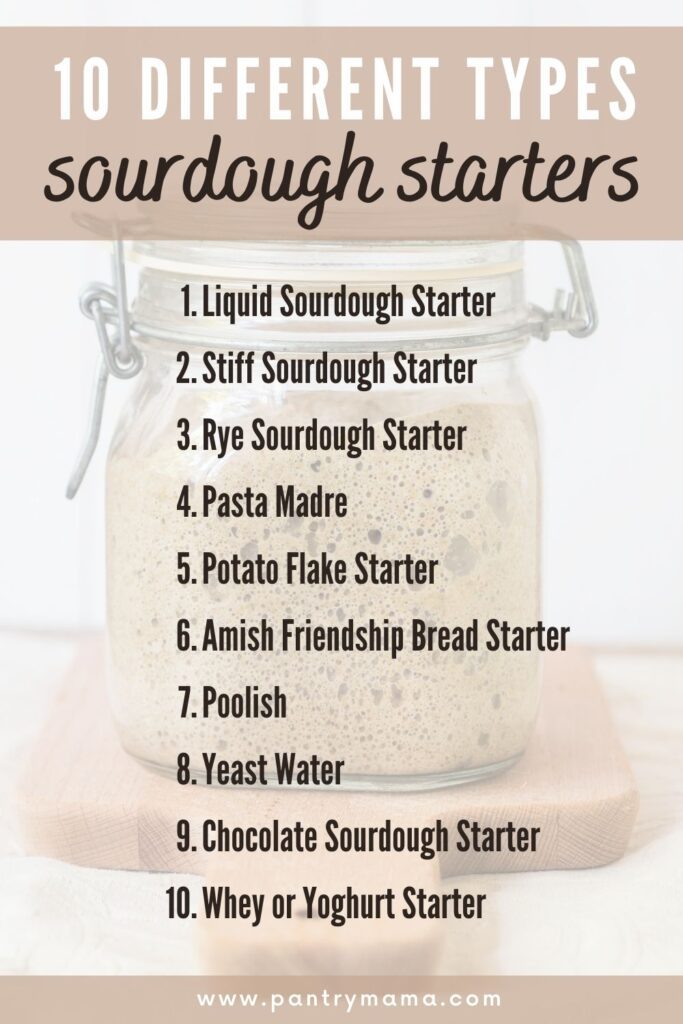 Different types of sourdough starters infographic listing 10 different types of sourdough starters.