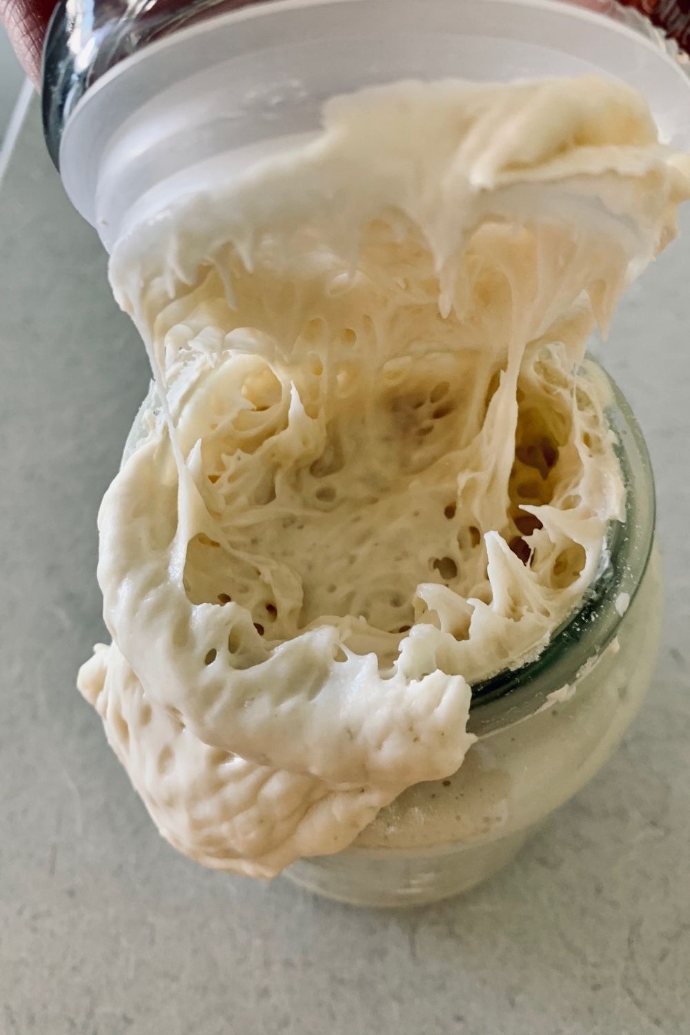 10 Different Types of Sourdough Starters and How To Use Them The