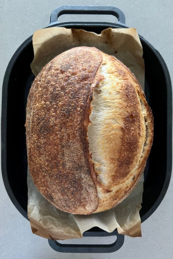 Loaf of baked sourdough bread sitting in a cast iron bread pan.