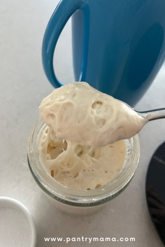 How To Use A Stand Mixer For Sourdough Bread - The Pantry Mama