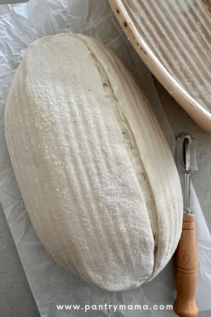 Best Baking Scale for Sourdough - The Pantry Mama