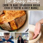 How To Use A Stand Mixer For Sourdough Bread - The Pantry Mama