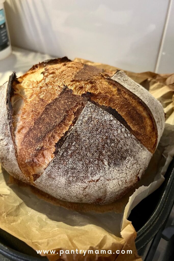 Sourdough secrets for busy moms - sourdough boule sitting on kitchen counter