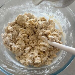 Flour and salt have been mixed into the pumpkin puree mix and formed a shaggy, dry dough