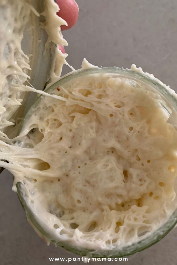 Can I change the flour I feed my sourdough starter? 