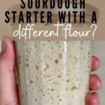Can I Feed my sourdough starter different flours? Pinterest Image