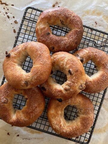 Baked cinnamon raisin sourdough bagels arranged on a black cooling rack.