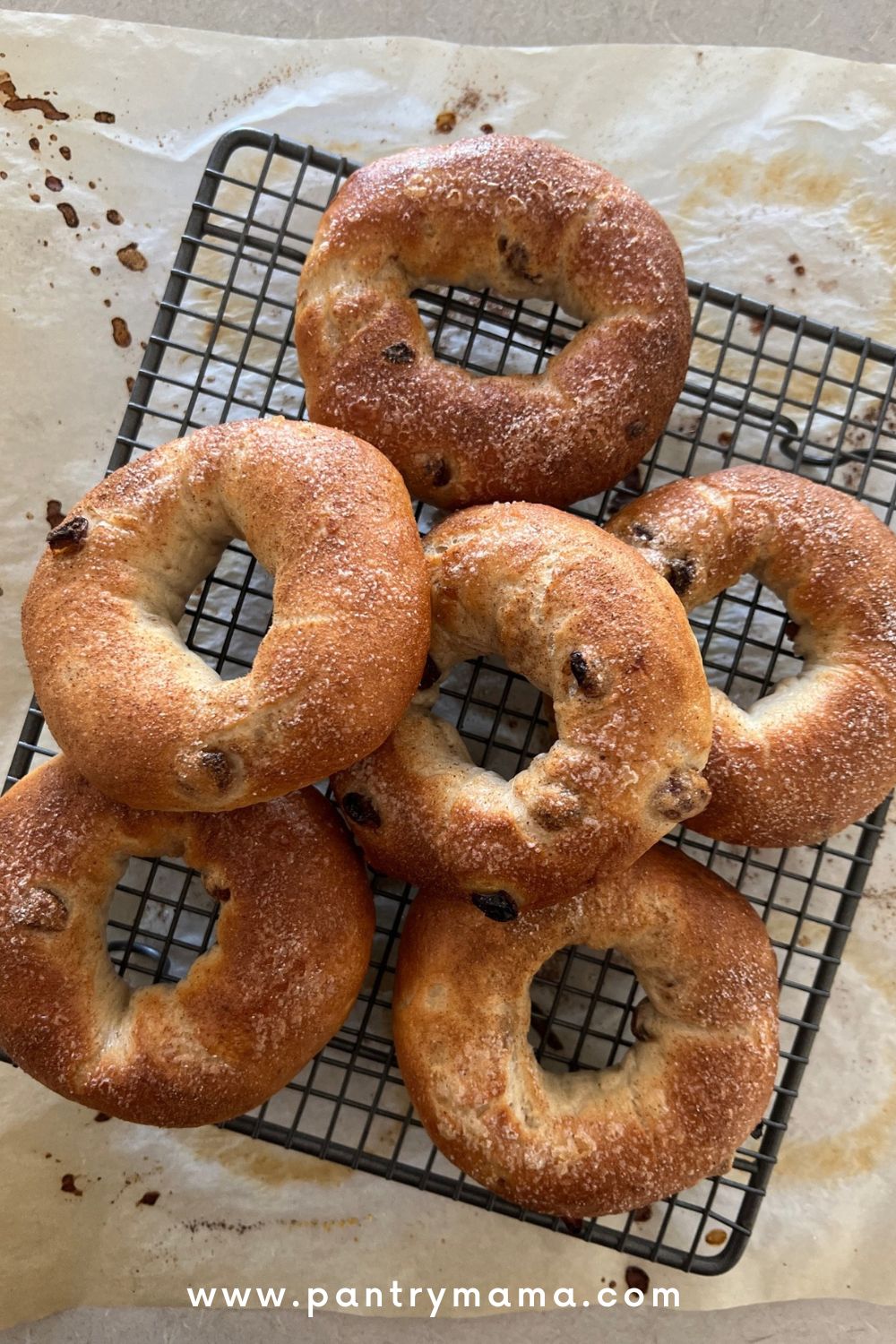 Cinnamon Raisin Sourdough Bagels - The Pantry Mama