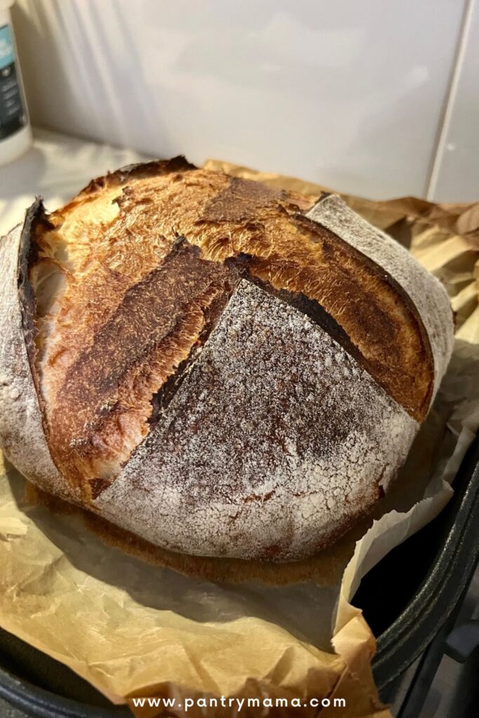 Long fermented sourdough bread that has just been baked sitting on a piece of parchment paper.