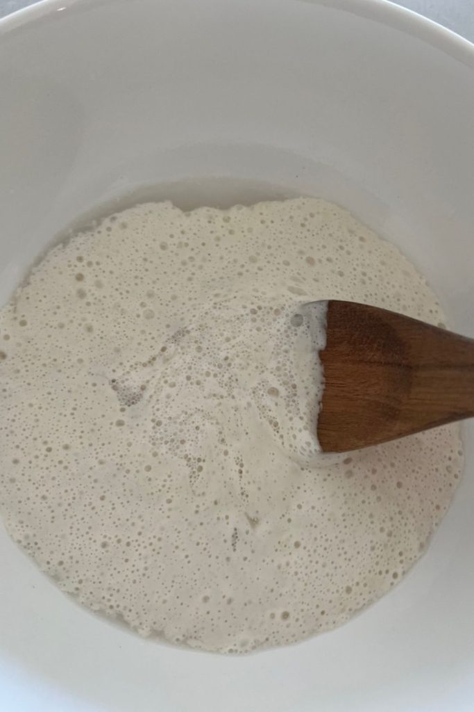 Mixing starter and water together for same day sourdough bread.