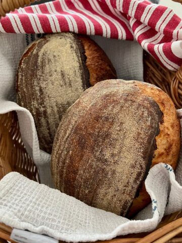 TWO LOAVES OF SAME DAY SOURDOUGH BREAD NESTLED IN A CANE BASKET WITH A RED AND WHITE DISH TOWEL