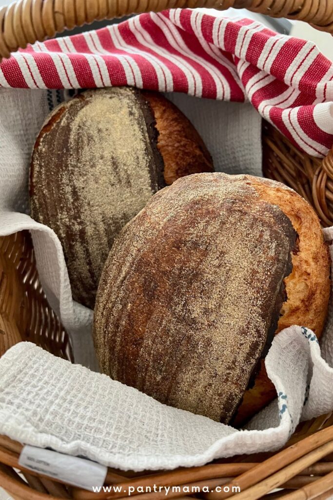 Two loaves of same day sourdough bread sitting in a basket lined with a white waffle dish towel.