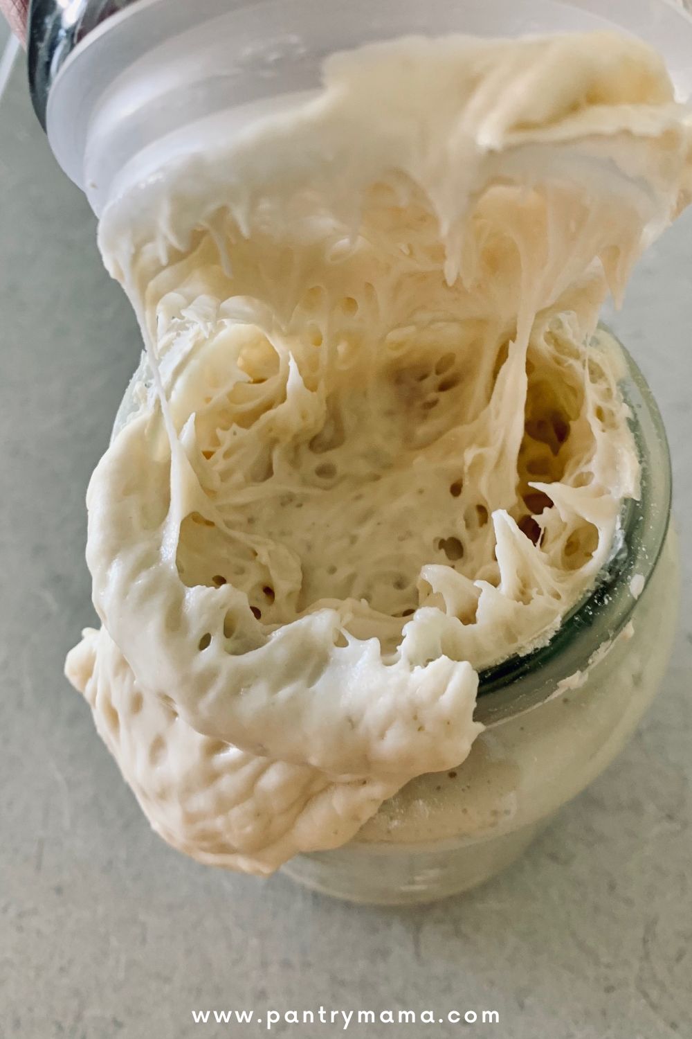 Same Day Sourdough Bread The Pantry Mama