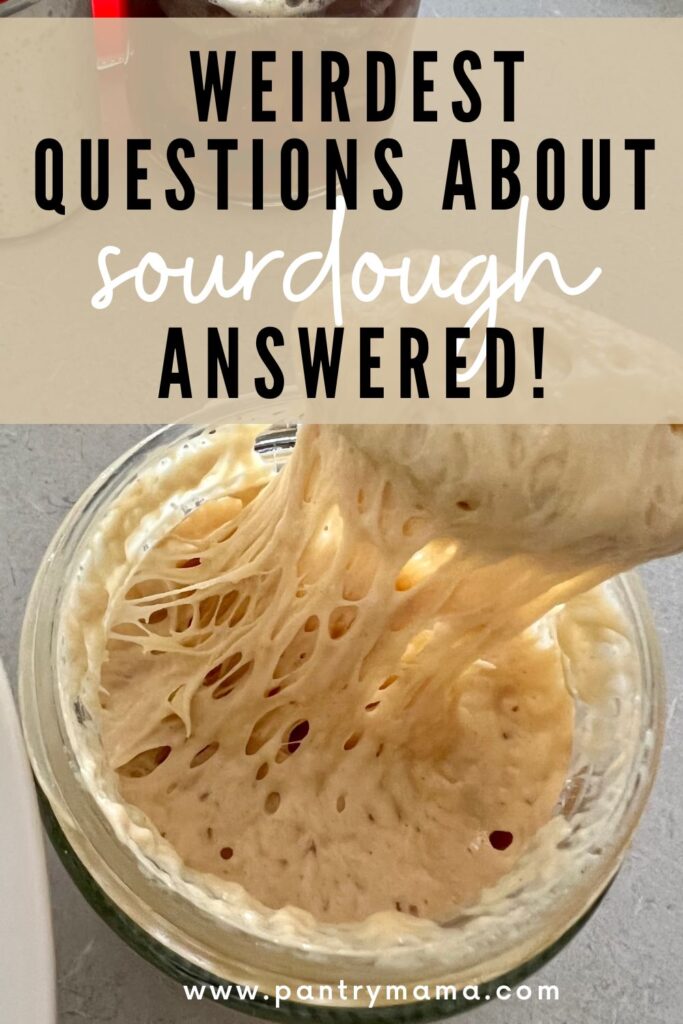 Weirdest sourdough questions answered - Pinterest Image