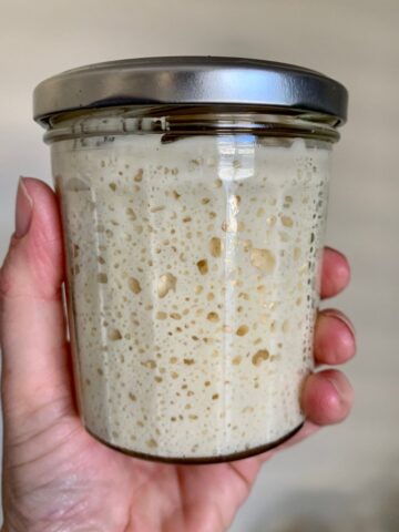 Jar of sourdough starter with a silver lid being held in a hand.