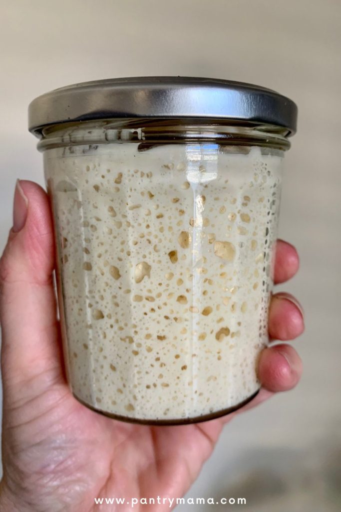 Jar of sourdough starter with a silver lid being held in a hand.