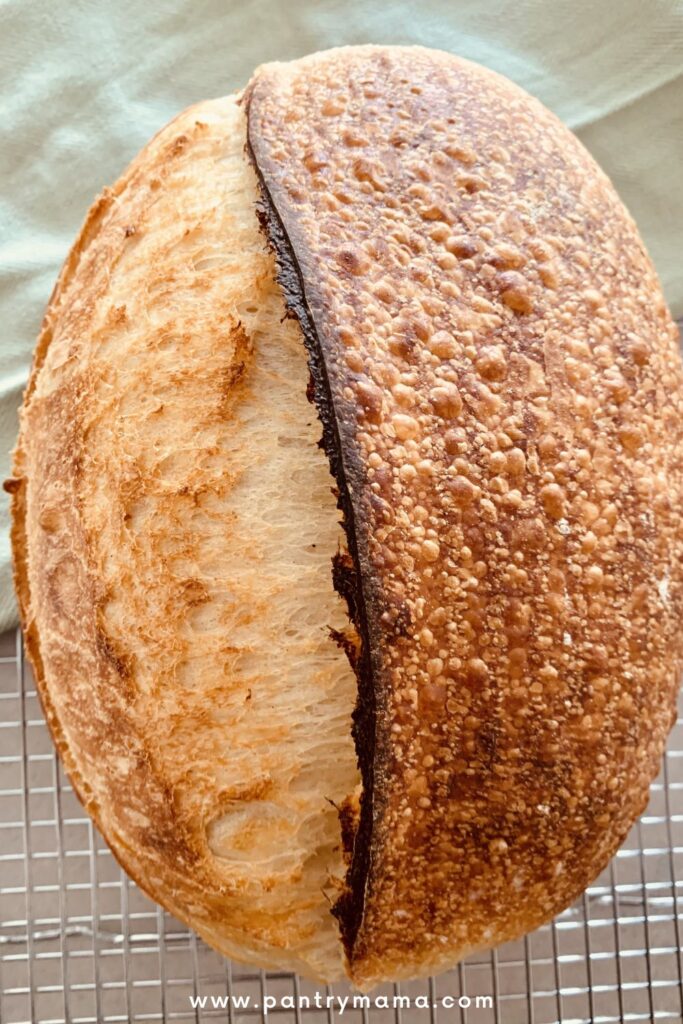 Loaf of sourdough with pronounced blisters and ear.