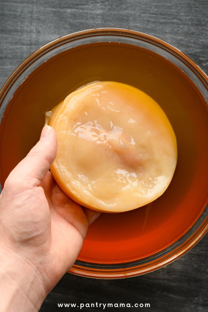 A kombucha scoby being picked up out of a jar of kombucha liquid.