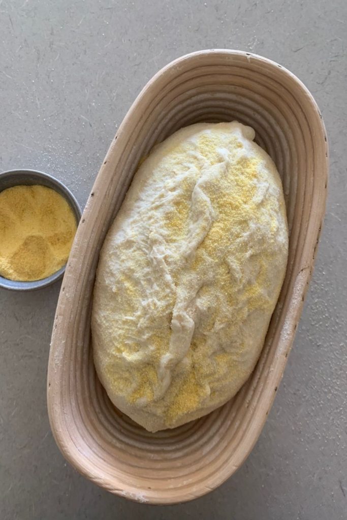 Using cornmeal to stop sourdough sticking to bannetons