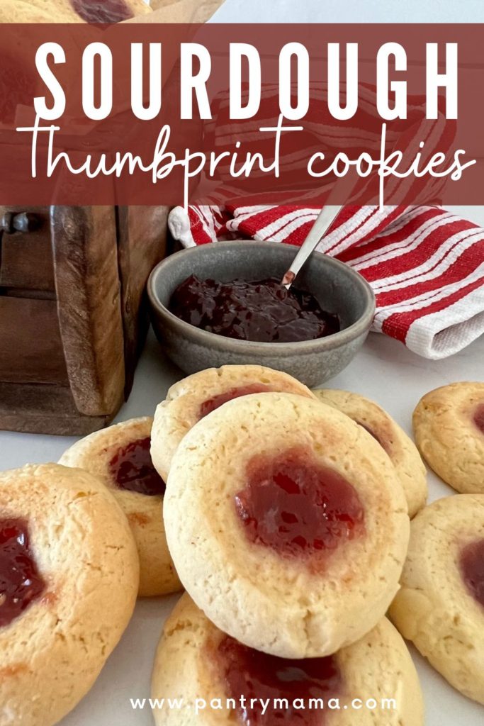 Sourdough Thumbprint Cookies - Pinterest Image