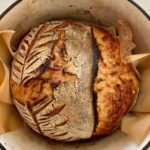 Under fermented sourdough bread - the sourdough boule is in the Dutch Oven and shows that the scoring has split in places other than where it was scored.
