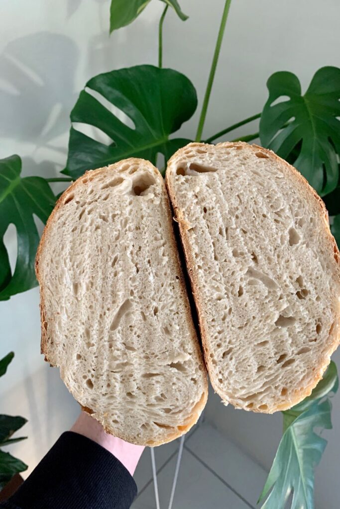 Under fermented sourdough bread that has a gummy interior. The knife used to slice the sourdough bread has left lines, indicating the interior is too moist.