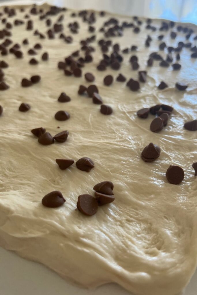 Laminated sourdough with chocolate chips sprinkled on top. 