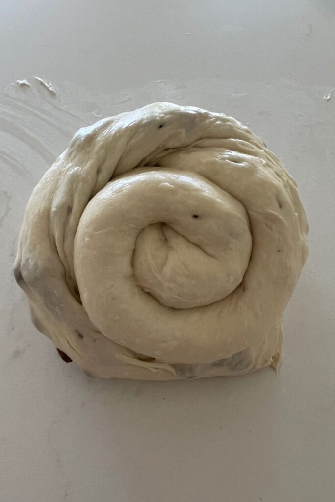 Sourdough bread dough filled with chocolate chips. The dough has been laminated and rolled up into a "snail" swirl log.