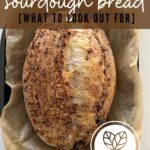 IS SOURDOUGH BREAD VEGAN? PINTEREST IMAGE