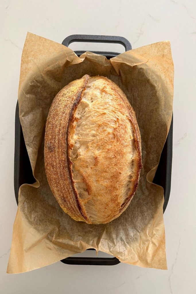 Vegan sourdough bread made with just flour, water and salt. The baked loaf is sitting on parchment paper inside a cast iron bread pan.