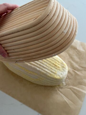 Sourdough bread dusted in cornmeal being tipped out of a banneton basket onto a piece of parchment paper.