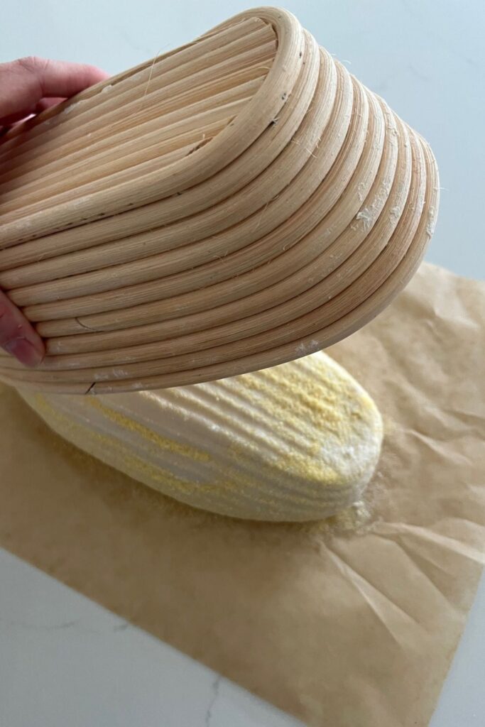 Sourdough bread dusted in cornmeal being tipped out of a banneton basket onto a piece of parchment paper.