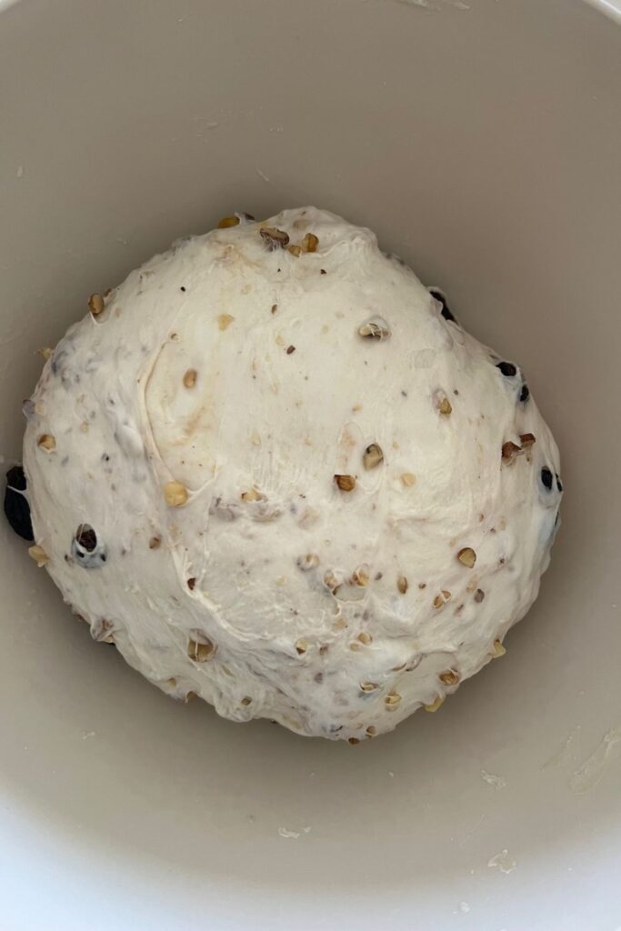 Sourdough with raisins and walnuts laminated into it. The dough is now in a ball and in a bowl ready to start bulk fermentation.