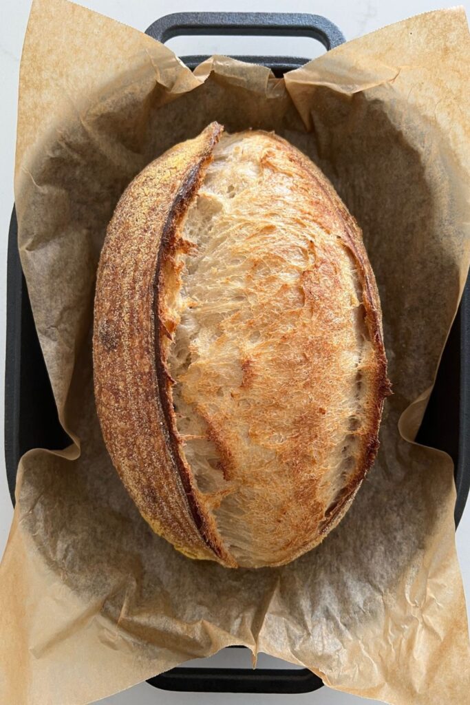 Loaf of sourdough bread sitting on brown parchment paper. The loaf has a large belly and a strong crust.