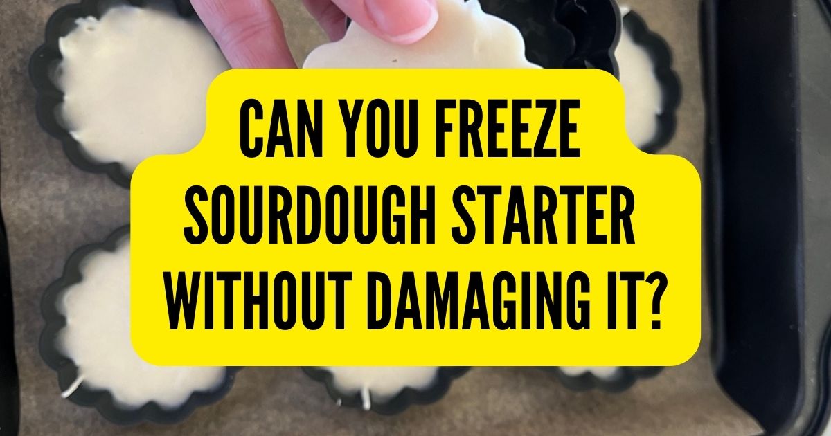 Can You Freeze Sourdough Starter? The Pantry Mama