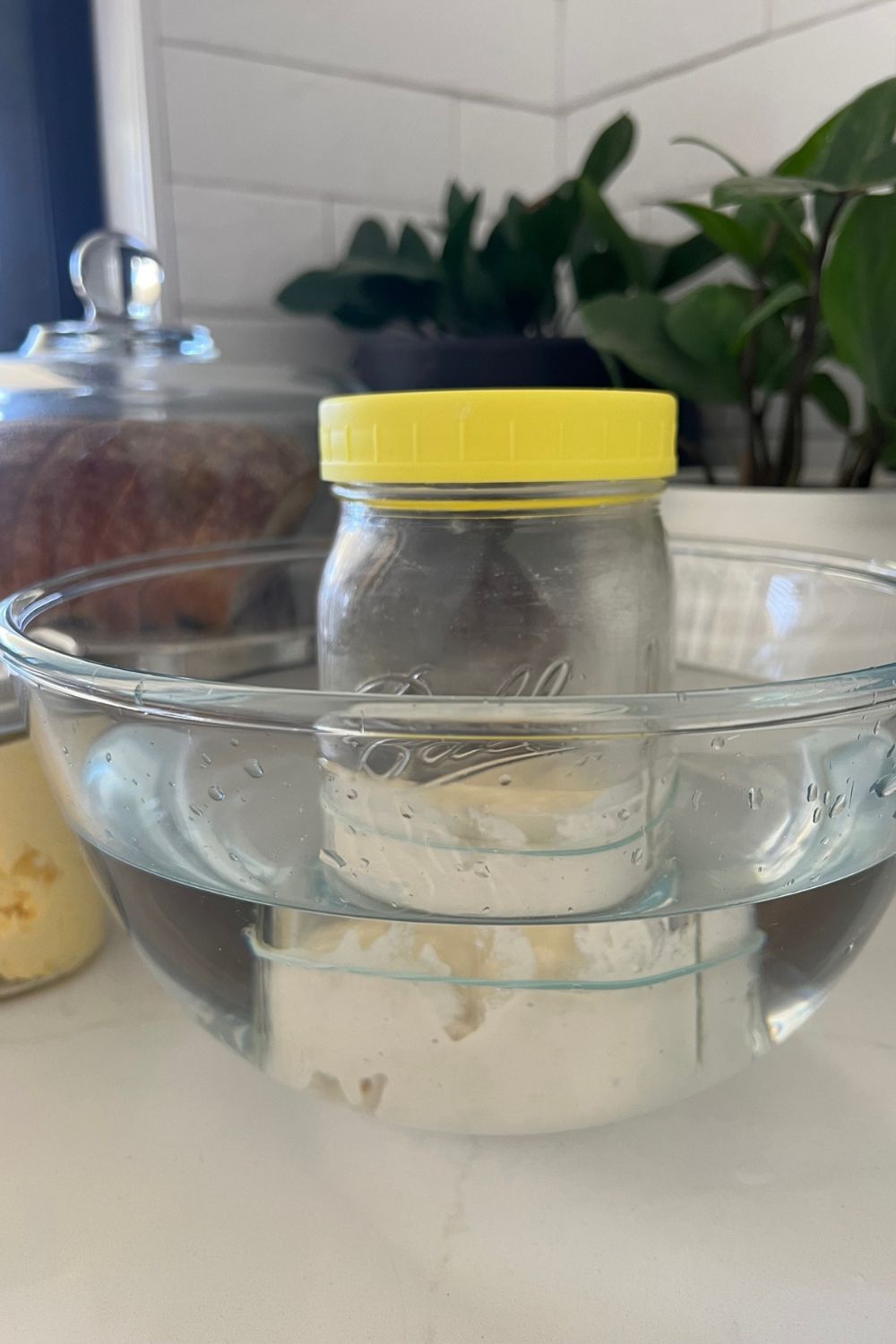how-to-keep-sourdough-starter-warm-the-pantry-mama