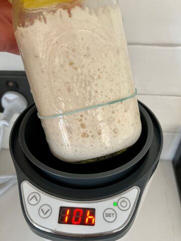 Jar of bubbly sourdough starter with a yellow lid being placed in an electric yogurt maker. It says 10hrs on the LED screen.
