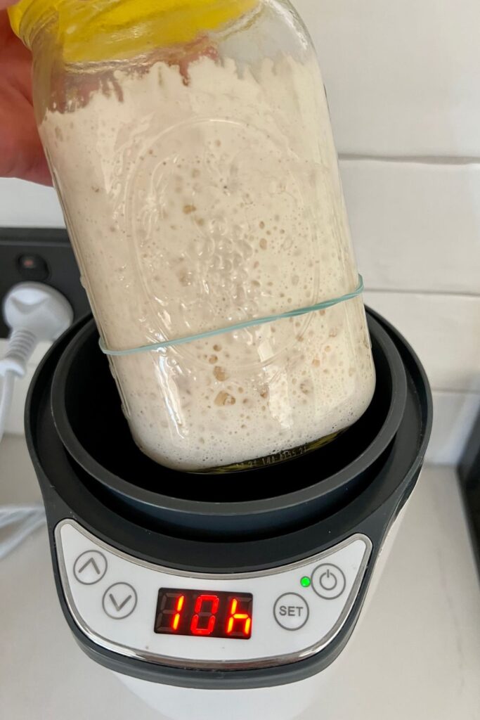 https://www.pantrymama.com/wp-content/uploads/2023/01/HOW-TO-KEEP-A-SOURDOUGH-STARTER-WARM-6-683x1024.jpg