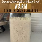 How to keep a sourdough starter warm - Pinterest Image
