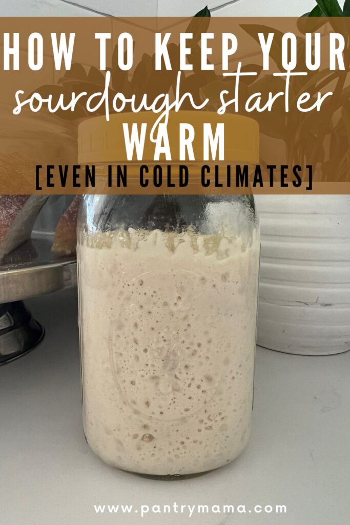 How to keep a sourdough starter warm - Pinterest Image