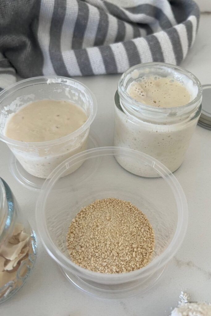 Small container of ground and dried sourdough starter sitting on a white counter top. There is a small plastic container and a small glass jar of liquid sourdough starter also in the photo.