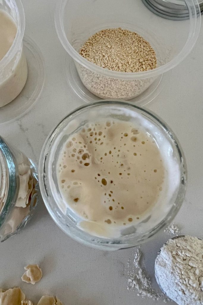 Several jars of sourdough starter can be seen in this photo including a jar of liquid starter, a small plastic container of dried sourdough starter and a spoon of flour.