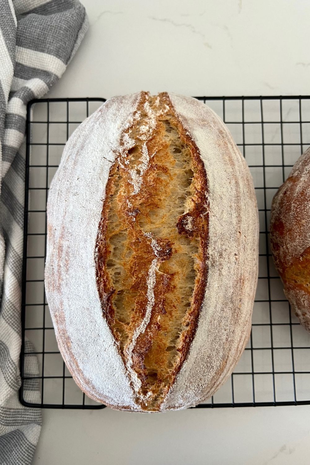 Rustic Sourdough Bread [easy no knead method] The Pantry Mama