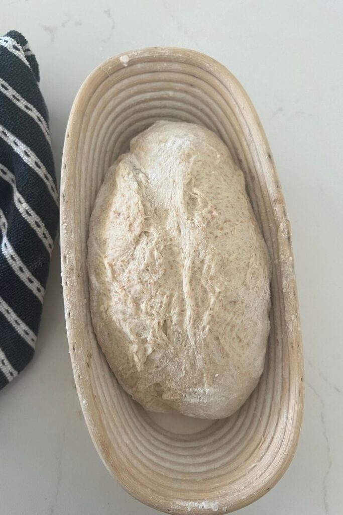 Rustic Sourdough Bread Recipe – Mother Earth News